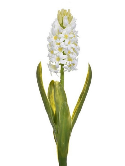 HIACYNT Z LIŚCIEM 40CM SUN561 WHITE