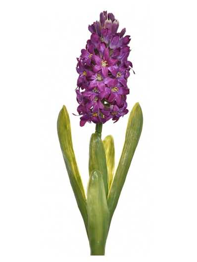 HIACYNT Z LIŚCIEM 40CM SUN561 PURPLE