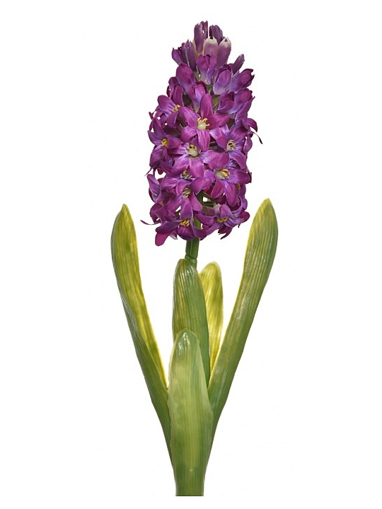 HIACYNT Z LIŚCIEM 40CM SUN561 PURPLE