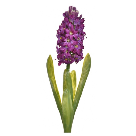 HIACYNT Z LIŚCIEM 40CM SUN561 PURPLE