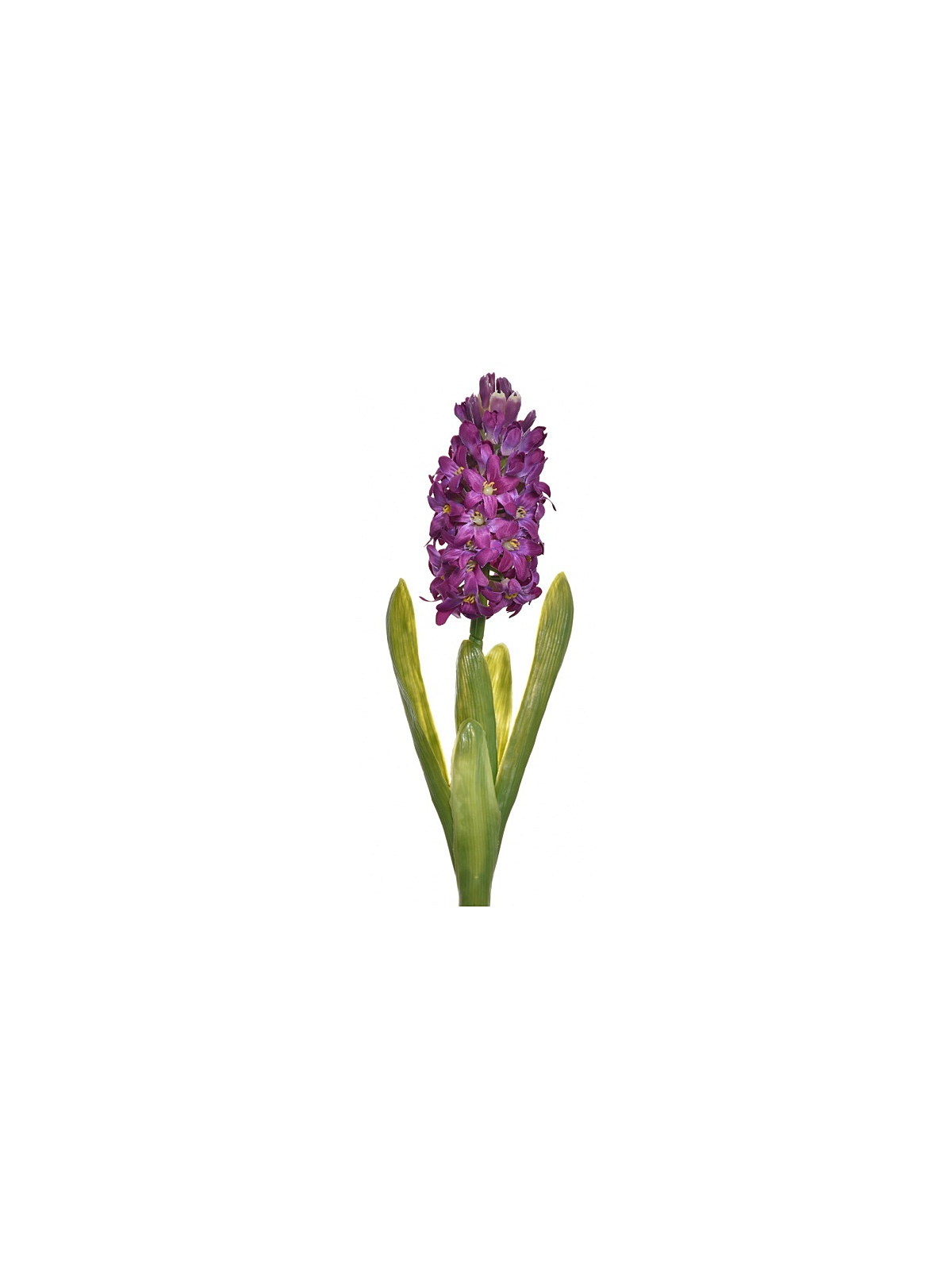 HIACYNT Z LIŚCIEM 40CM SUN561 PURPLE