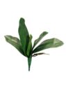 LIŚĆ STORCZYKA 5 LIŚCI 29CM GUMA RT GREEN