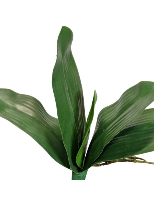 LIŚĆ STORCZYKA 5 LIŚCI 29CM GUMA RT GREEN