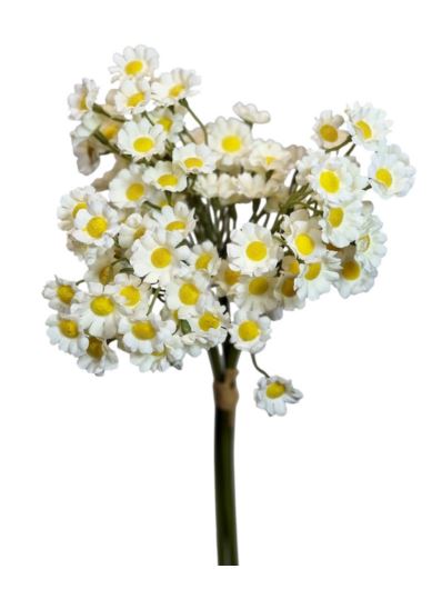 RUMIANEK PĘCZEK 36CM XH-64 WHITE YELLOW CENTER
