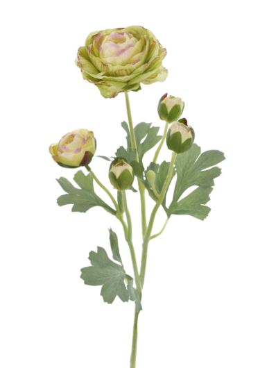 PEŁNIK GAŁĄZKA 52CM REN2002 GREEN