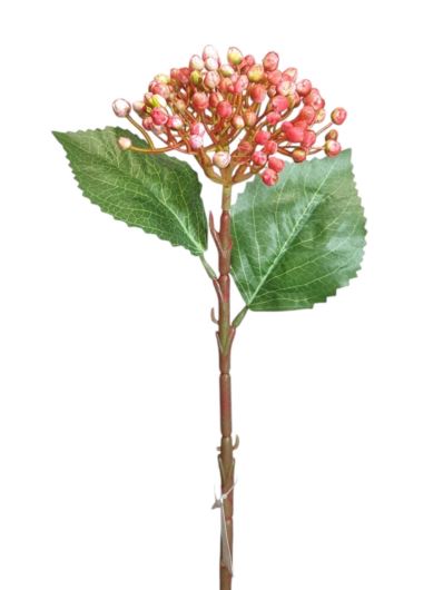 HORTENSJA PĄCZKI – DODATEK 42CM CH007 CORAL PINK