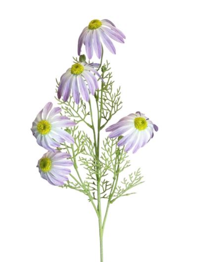JEŻÓWKA GAŁ. 5 KWIATÓW 85CM CV35306 RT VIOLET