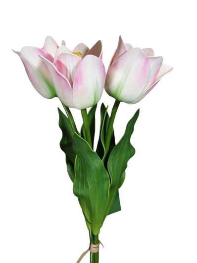 TULIPAN BUKIET X3 PIANKA