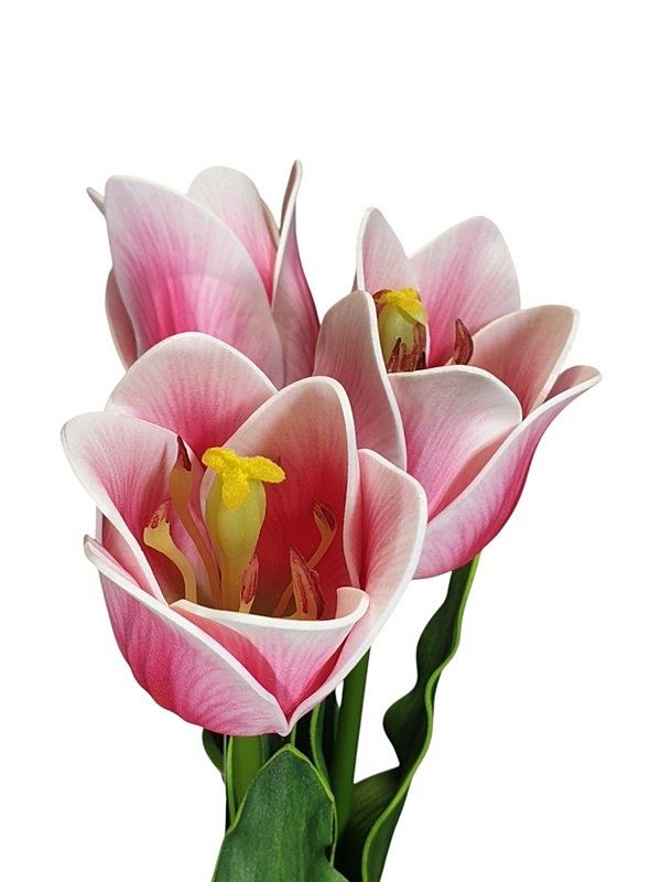 TULIPAN BUKIET X3 PIANKA