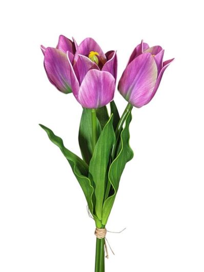 TULIPAN BUKIET X3 PIANKA