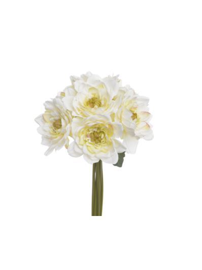 DALIA PĘCZEK 7 KWIATÓW 30CM CREAM GREEN