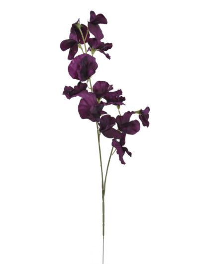 GROSZEK GAŁĄZKA 58CM SUN840 PURPLE