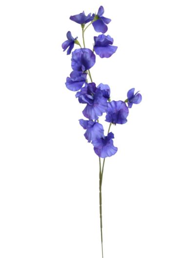 GROSZEK GAŁĄZKA 58CM SUN840 ULTRA VIOLET