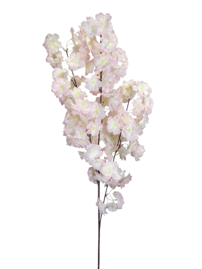 WIŚNIA KWITNĄCA 98CM LT PINK