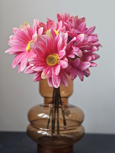 GERBERA PĘCZEK 34CM 7 KWIATÓW CV32650 BEAUTY PINK