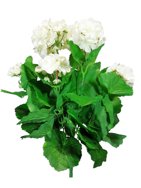 PELARGONIA X7 40CM SUN534 WHITE