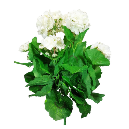PELARGONIA X7 40CM SUN534 WHITE