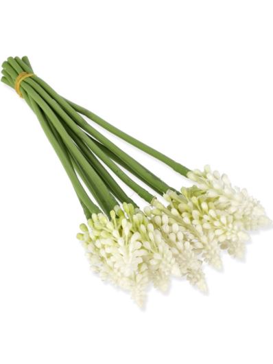 SZAFIREK POJEDYNCZY 24CM / 3823 WHITE GREEN