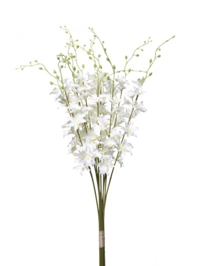 STORCZYK TAJLANDZKI 70CM SUN668 NEW CREAM