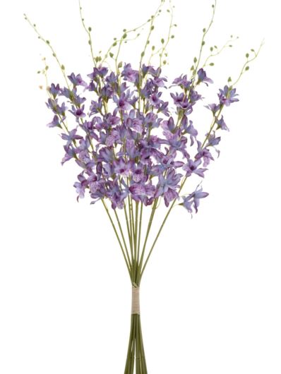 STORCZYK TAJLANDZKI 70CM SUN668 GRAPE