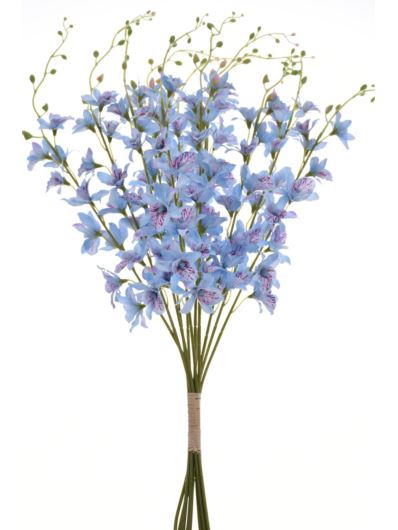 STORCZYK TAJLANDZKI 70CM SUN668 POWDER BLUE