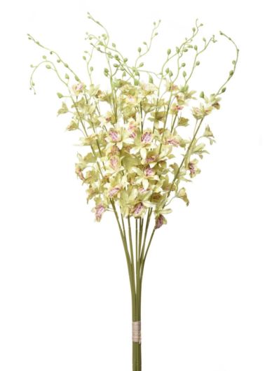 STORCZYK TAJLANDZKI 70CM SUN668 LT GREEN