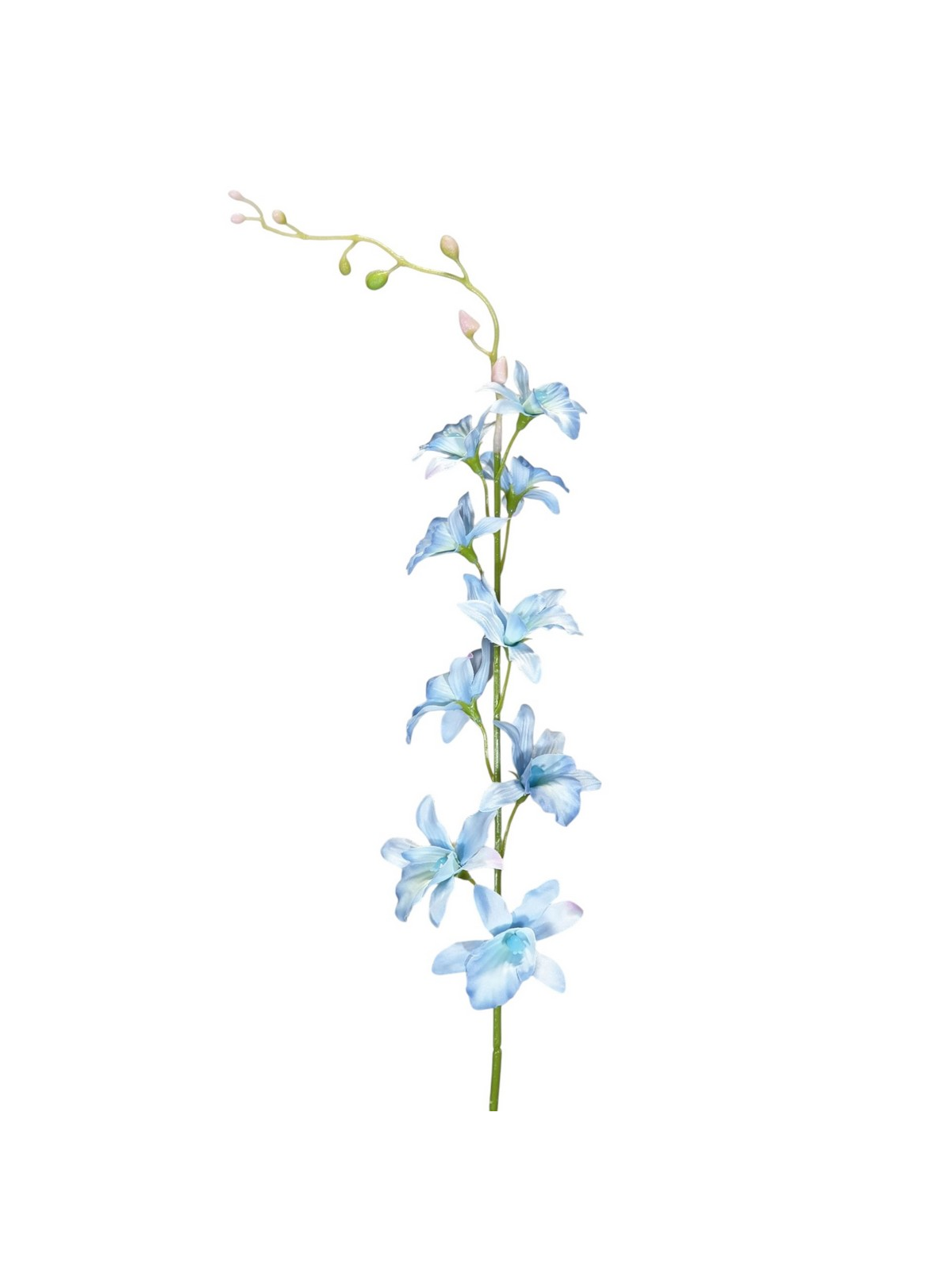 STORCZYK TAJLANDZKI 70CM SUN668 CLEAR BLUE