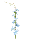 STORCZYK TAJLANDZKI 70CM SUN668 CLEAR BLUE