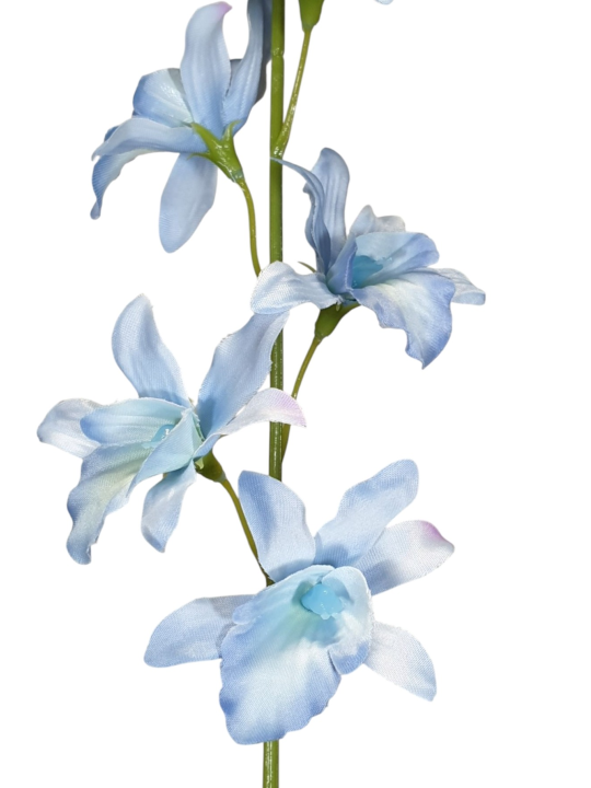 STORCZYK TAJLANDZKI 70CM SUN668 CLEAR BLUE