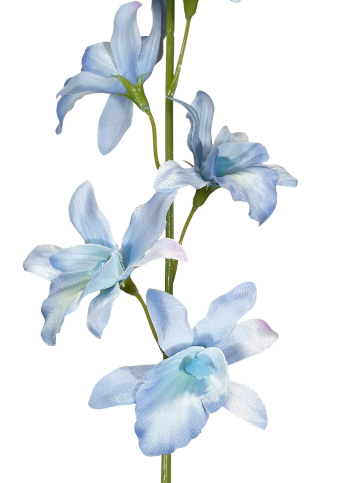 STORCZYK TAJLANDZKI 70CM SUN668 CLEAR BLUE