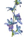 STORCZYK TAJLANDZKI 70CM SUN668 BLUE