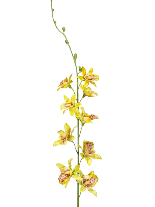 STORCZYK TAJLANDZKI 70CM SUN668 YELLOW