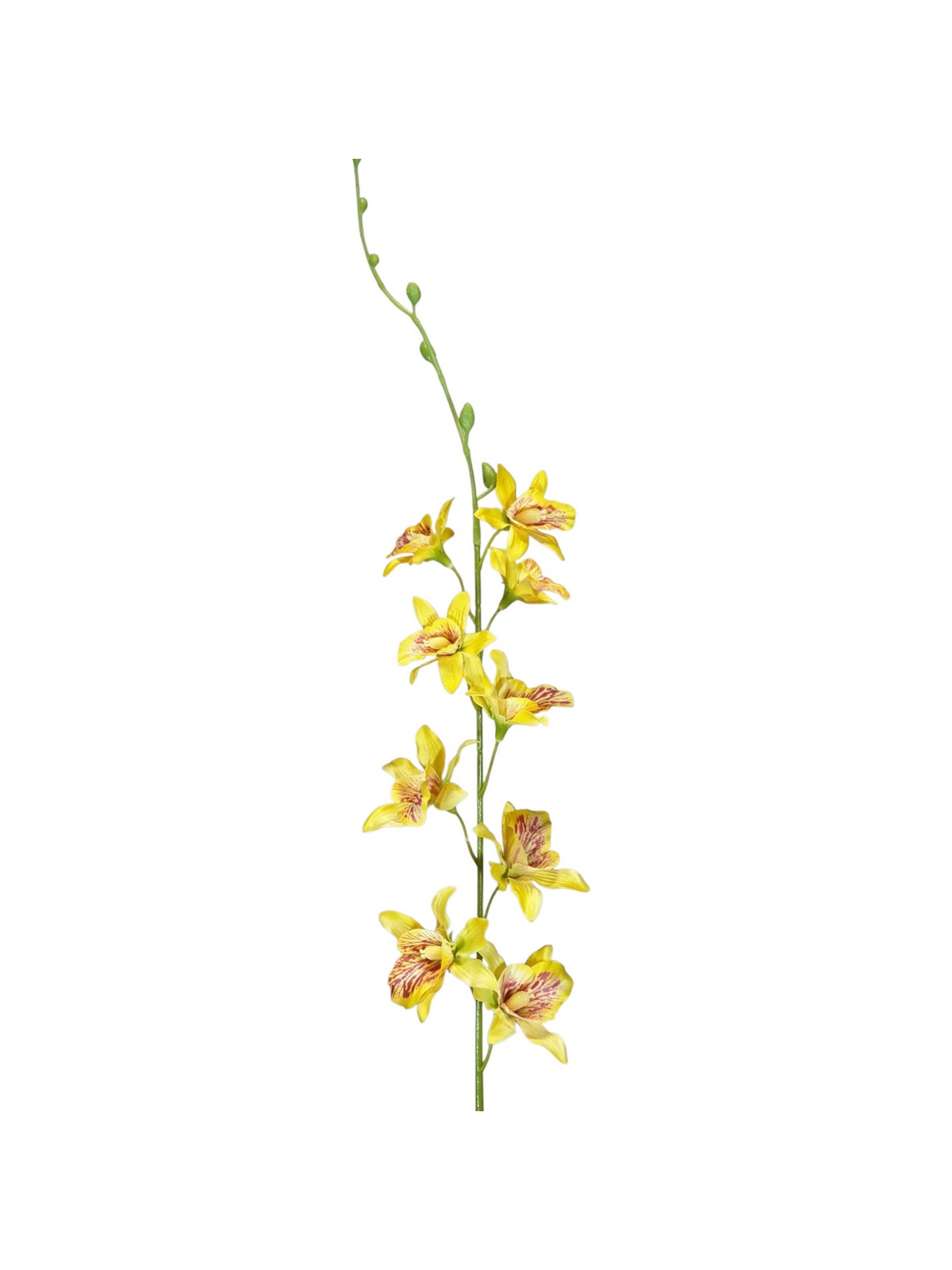 STORCZYK TAJLANDZKI 70CM SUN668 YELLOW
