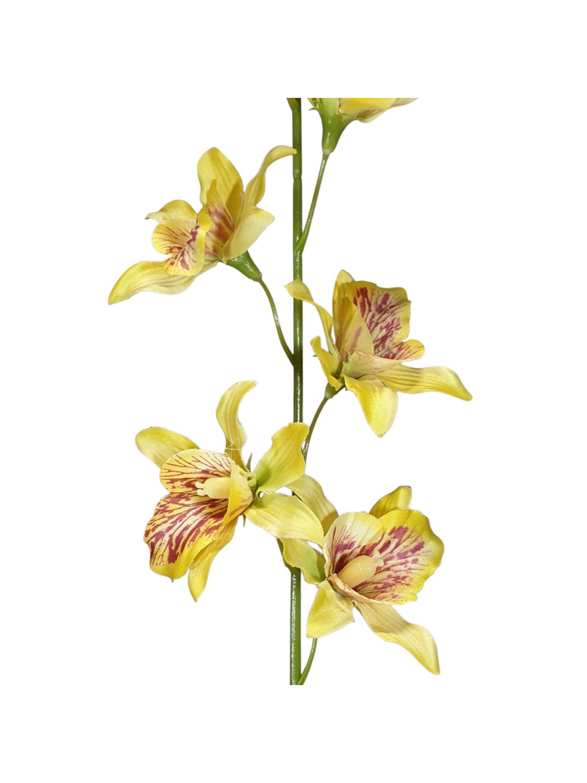 STORCZYK TAJLANDZKI 70CM SUN668 YELLOW