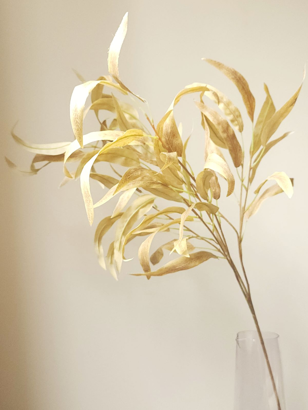 EUKALIPTUS LIŚCIASTY GAŁĄZKA 100CM CREAM BROWN