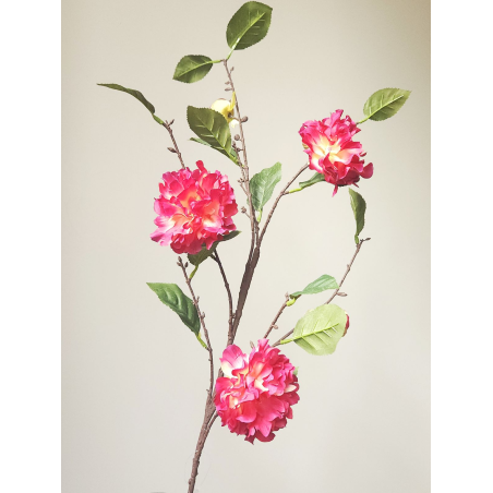 CAMELIA JAPOŃSKA GAŁĄZKA 91CM WINE BEAUTY