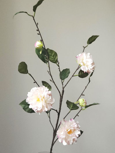 CAMELIA JAPOŃSKA GAŁĄZKA 91CM CREAM LT PINK