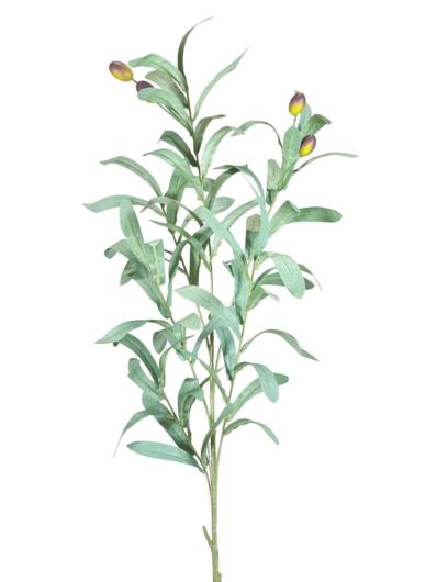 OLIWKA GAŁĄZKA Z OWOCAMI 98CM POWDER GREEN