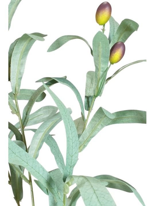 OLIWKA GAŁĄZKA Z OWOCAMI 98CM POWDER GREEN