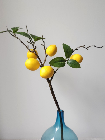 CYTRYNA GAŁĄZKA 5 OWOCÓW 50CM LEMON YELLOW