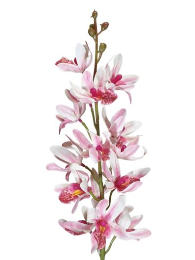 STORCZYK TAJLANDZKI 75CM PINK