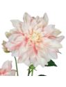 DALIA 3 KWIATY 72CM LT PINK