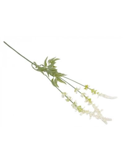 LAWENDA - SZAŁWIA GAŁĄZKA 65CM WHITE GREEN