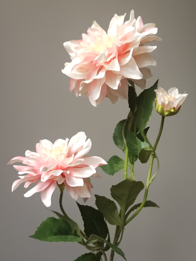 DALIA 3 KWIATY 72CM LT PINK