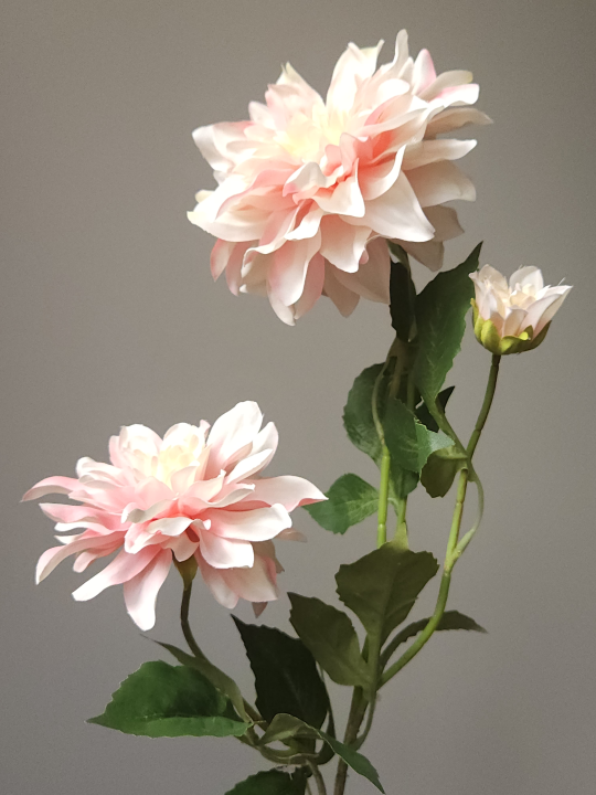 DALIA 3 KWIATY 72CM LT PINK
