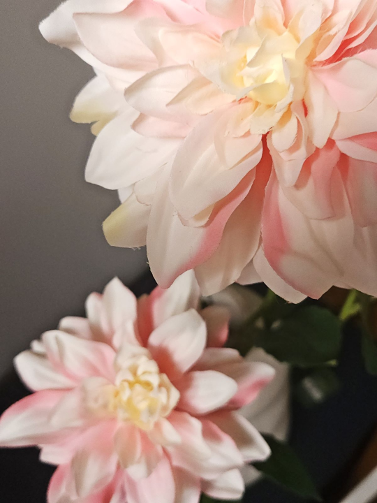 DALIA 3 KWIATY 72CM LT PINK