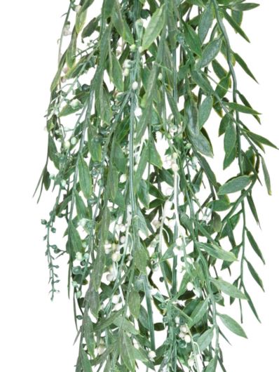 ZWIS RUSKUS WĄSKOLISTNY BIAŁE KULECZKI 100CM P.GR