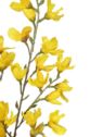 FORSYCJA GAŁĄZKA 95CM AJ45998 YELLOW