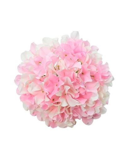 HORTENSJA GŁOWA GIGANT 30CM LT PINK