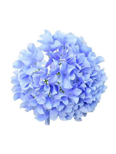 HORTENSJA GŁOWA GIGANT 30CM LT BLUE